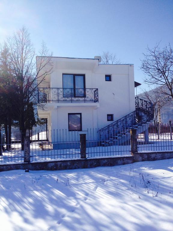 Vila Blanca Alexandru cel Bun Ruang foto